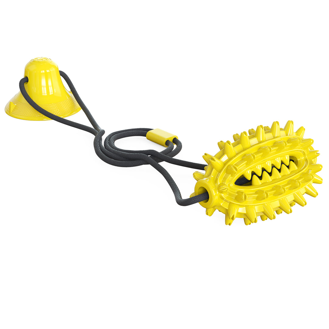 Single Suction Cup Cactus Chew Ball for Dogs