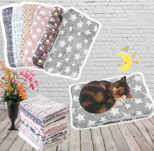 BowLift | Cozy heat cushion for cats