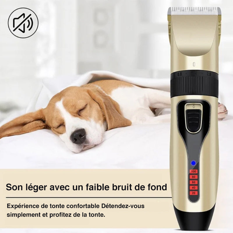 Professional Pet Grooming Set | Bowlift