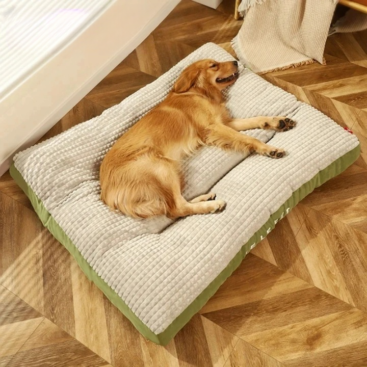BowLift | SnoozePaw Luxury Dog Bed – Robust Foam, Removable Covers and Optimal Support