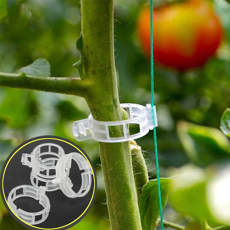 Plastic ring for holding plants | Bowlift