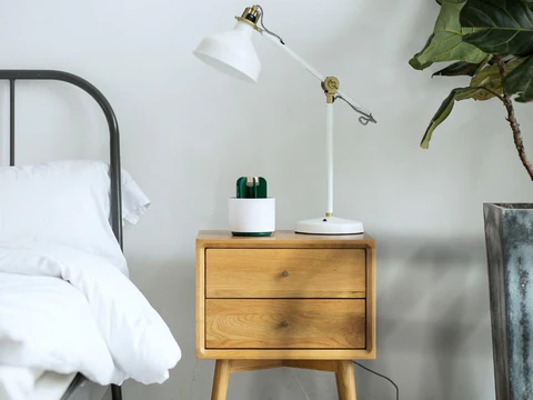 BowLift | Mosquito Cactus Lamp
