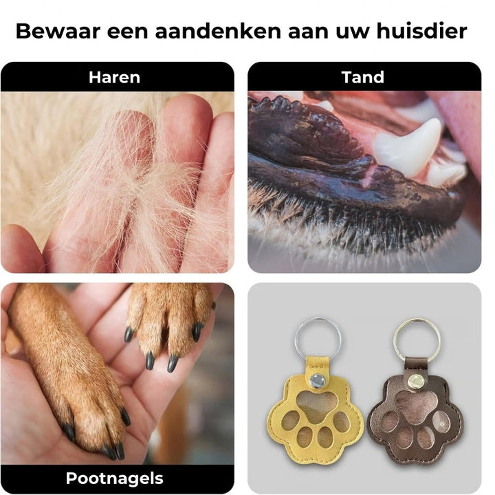 BowLift | PawMemorie Keychain – Memorial Pendant with Paw Print and Inner Compartment