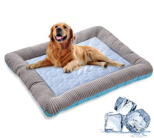 Cooling Dog Bed with Ice Silk Material | Bowlift