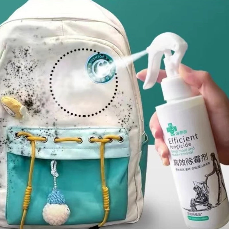 BowLift | High-Efficiency Mold Remover