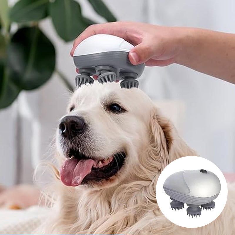 Mini Head Massager, available for pets and people | Bowlift