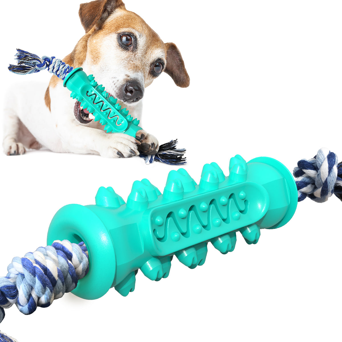 Serrated Chew Stick with Rope Toy for Dogs