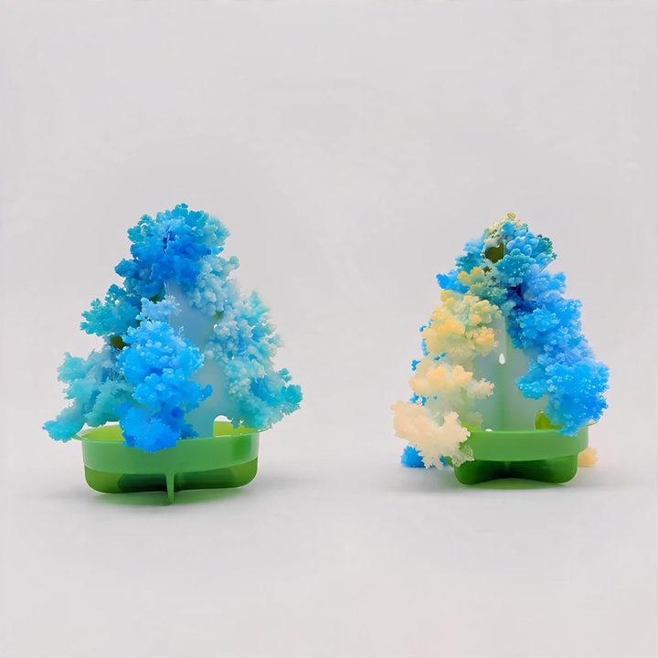 Magic Paper Christmas Tree to Grow Yourself