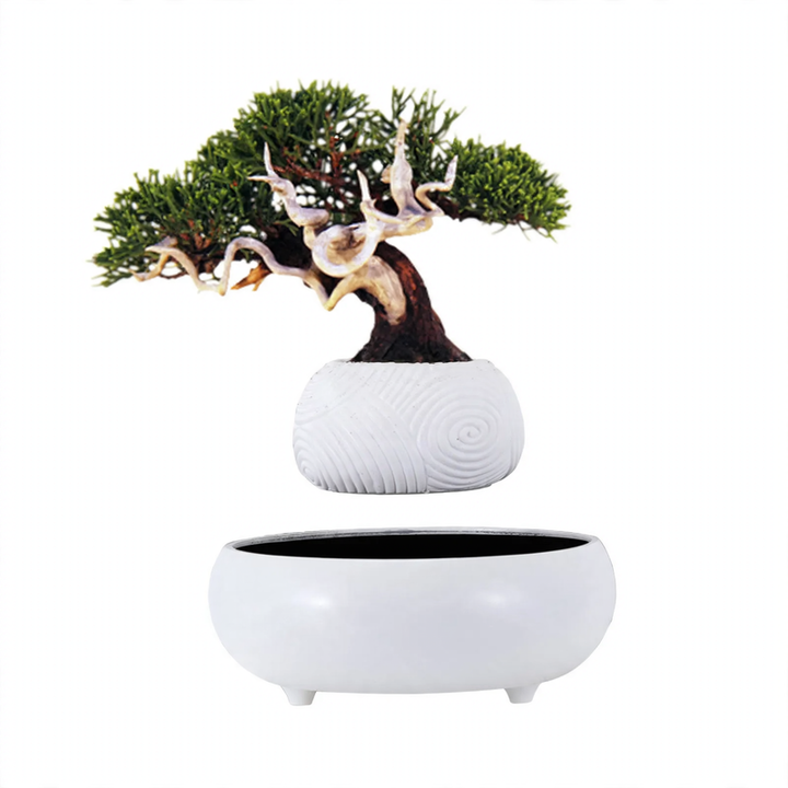 Magnetic floating light cloud shape