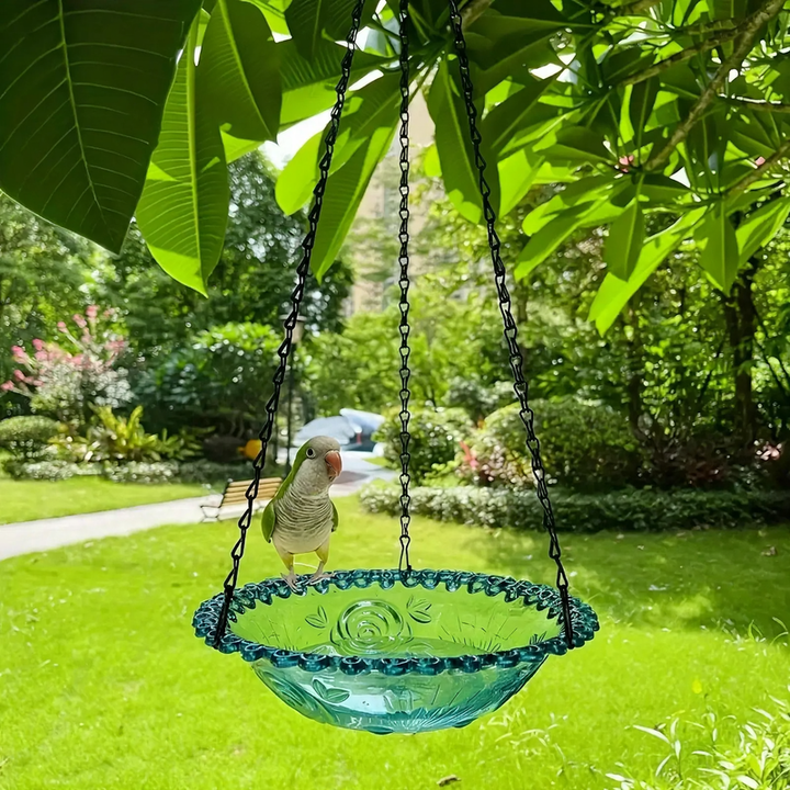 Hanging Bird Feeder Station and Bird Bath