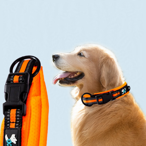 Fabric collar for dogs, adjustable and durable