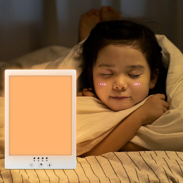 Daylight lamp with timer for light therapy