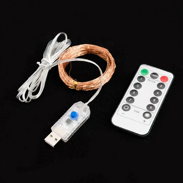 LED Copper Wire Fairy Lights with Remote Control and 8 Functions