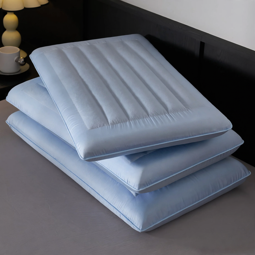 Buckwheat Hull Filling Pillow