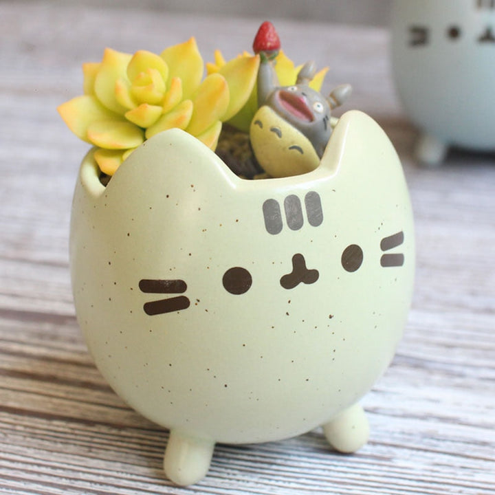 Easy-care Ceramic Garden Box in Box Shape Bowlift