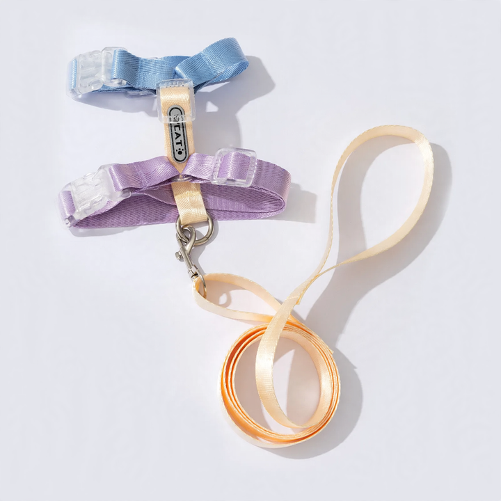 Luminous cat and dog harness leash