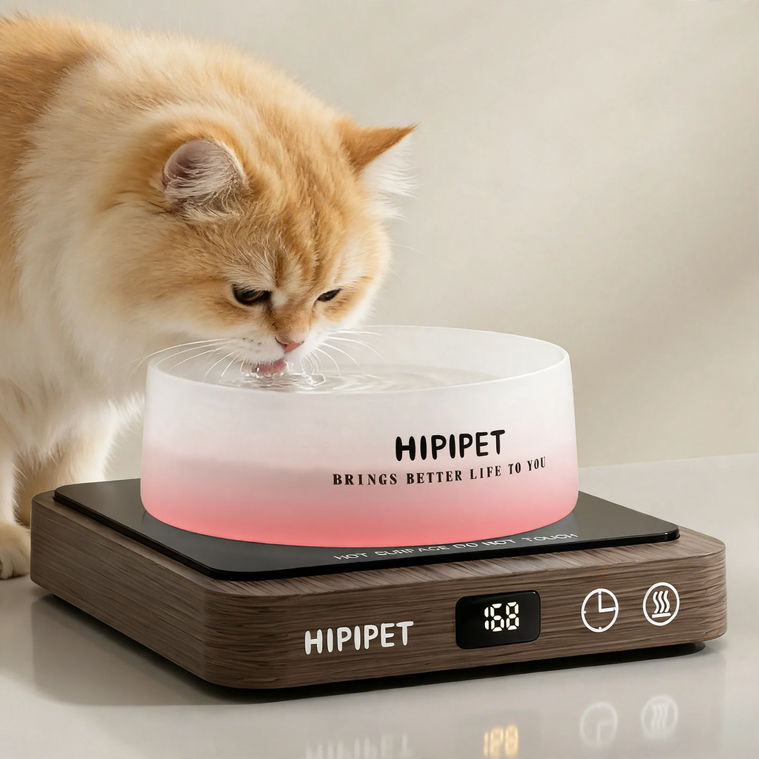 Glass heating bowl with wooden base for pets