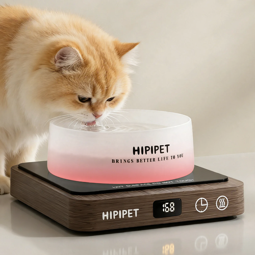 Glass heating bowl with wooden base for pets