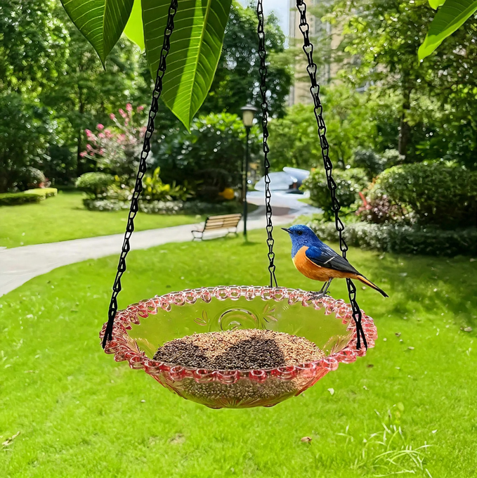 Hanging bird bath and feeding station