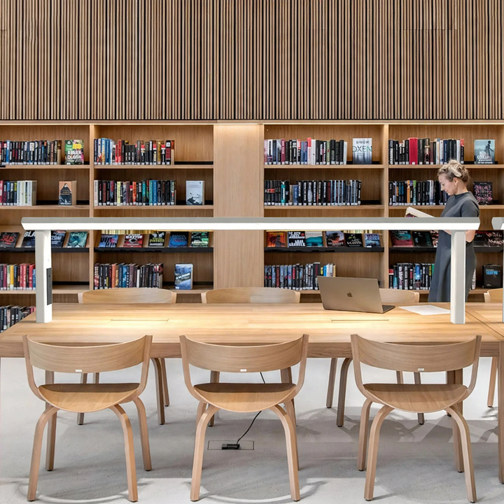 Professional reading lamp for desks