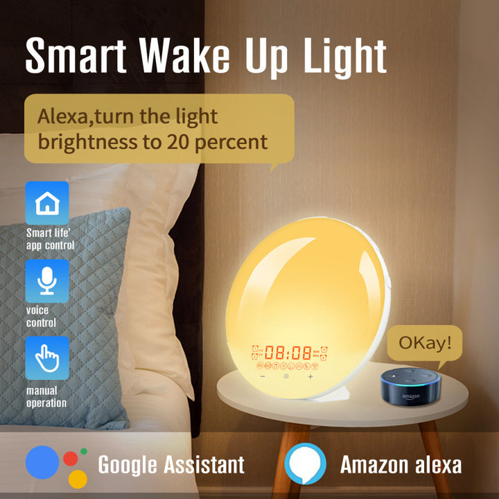 Intelligent alarm clock with app control and light