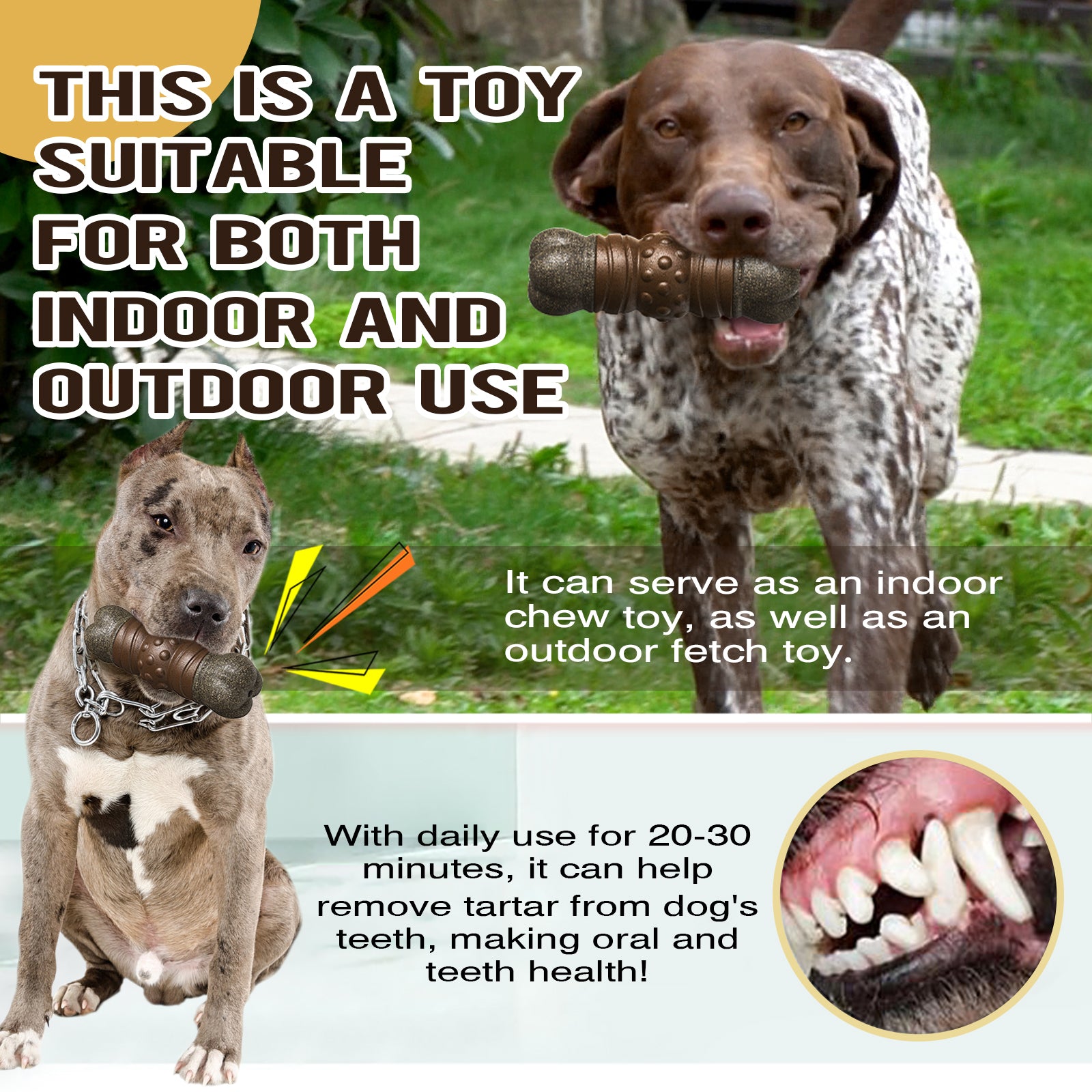 Sound Bone Chew Toy – Teeth Cleaning & Play for Dogs