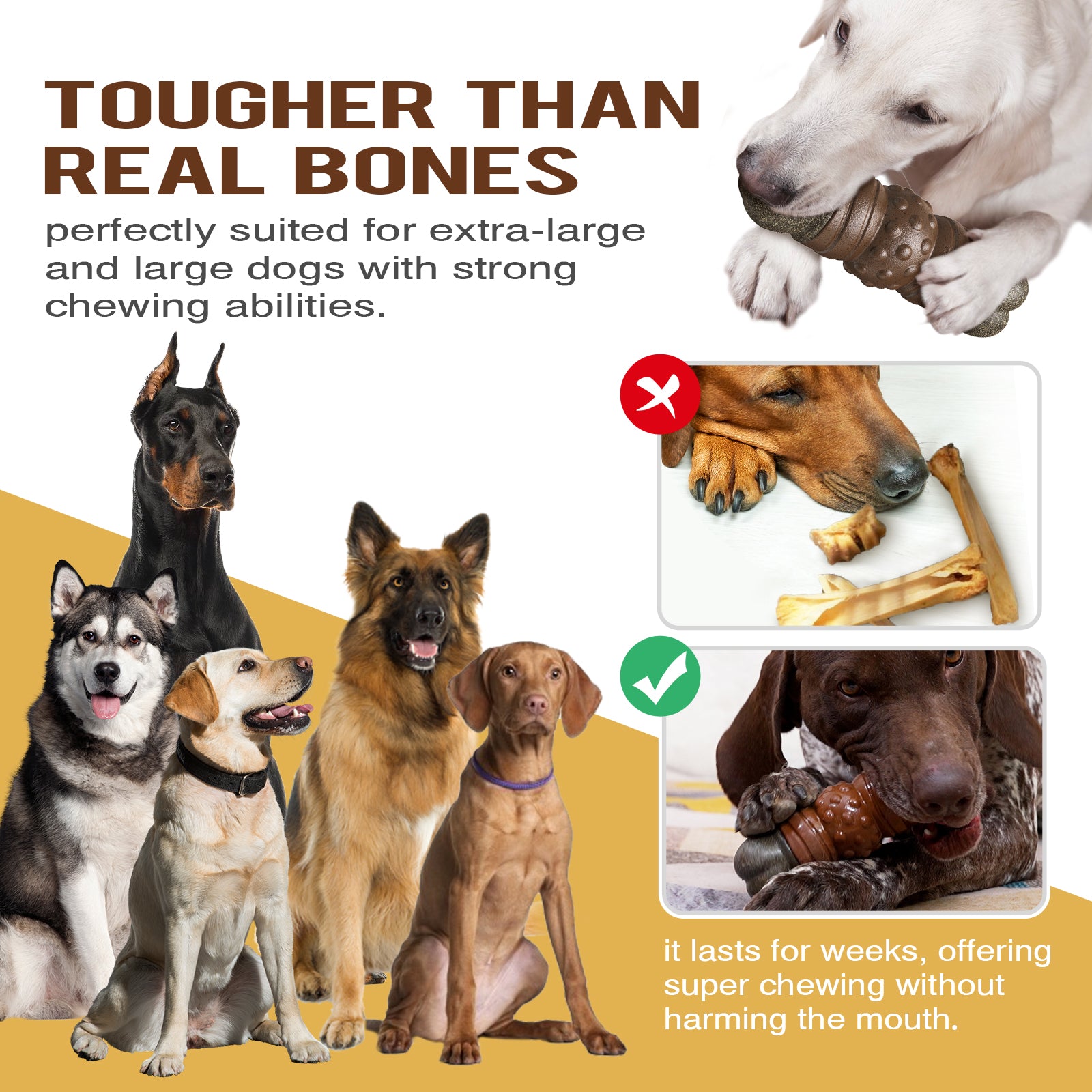 Sound Bone Chew Toy – Teeth Cleaning & Play for Dogs