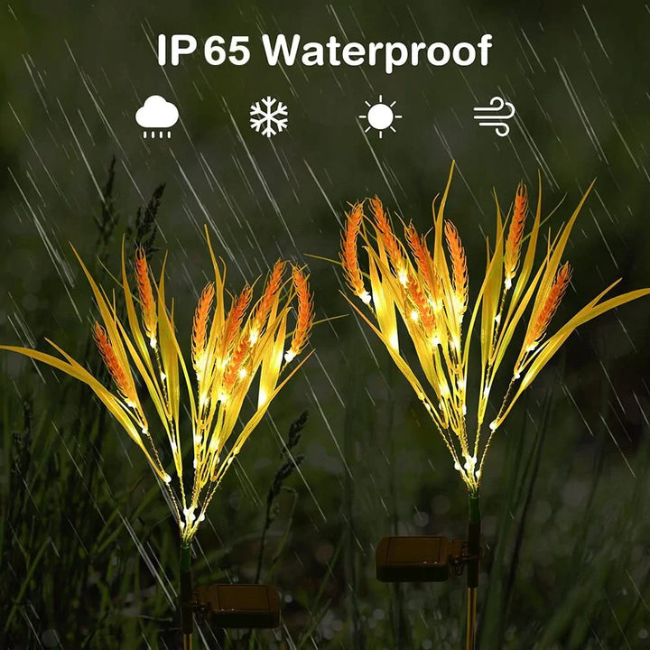 2 piece pack solar wheat ear lights Bowlift