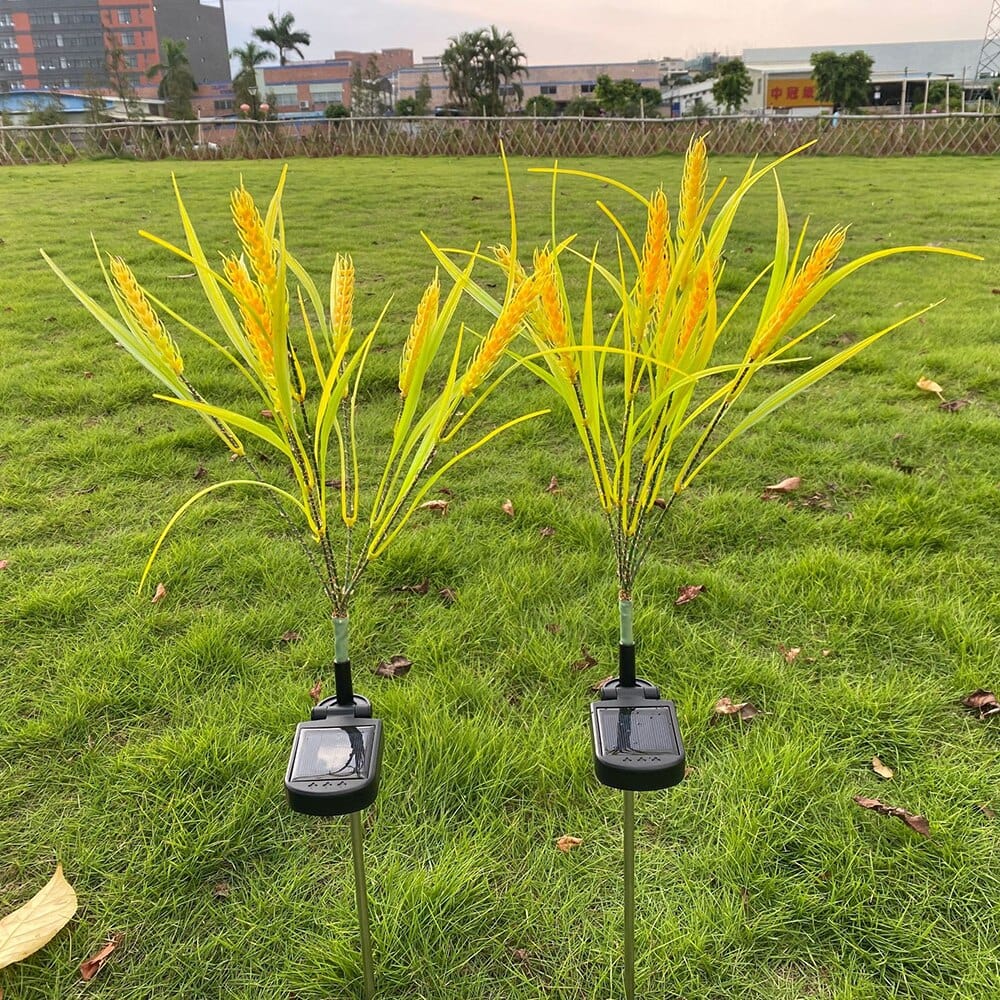 2 piece pack solar wheat ear lights Bowlift