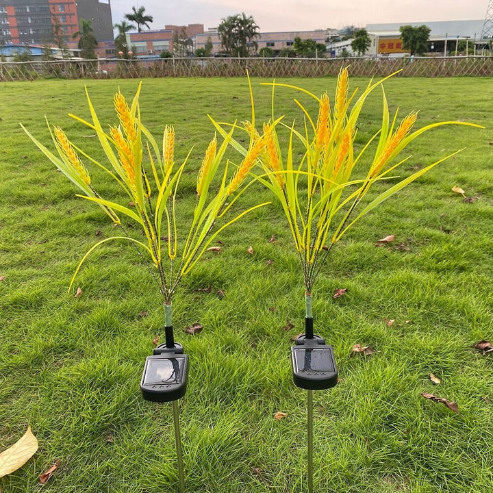 2 piece pack solar wheat ear lights Bowlift