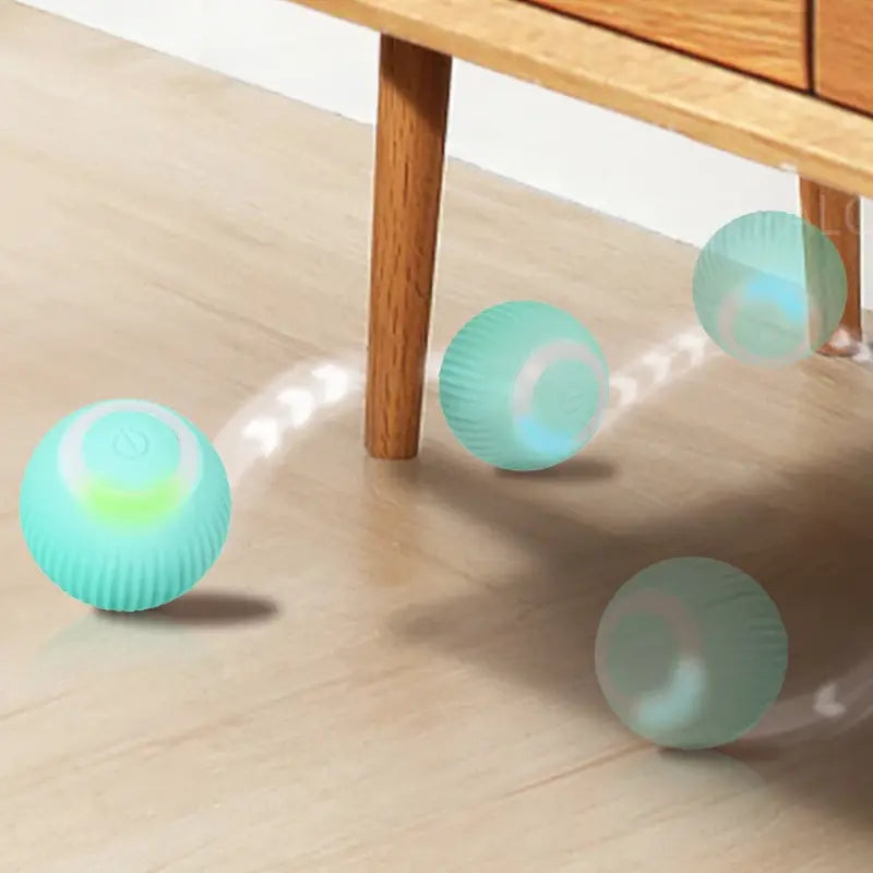 BowLift | 2-in-1 Interactive Hunting Toy for Pets