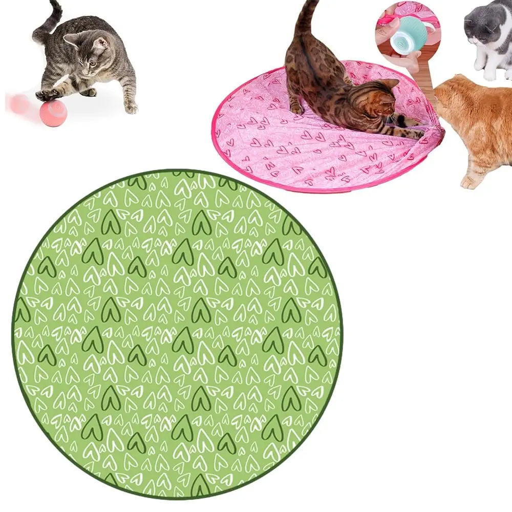 BowLift | 2-in-1 Hunting Toy for Cats – Promotes Hunting Instinct & Movement