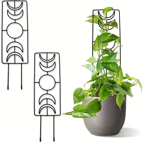 BowLift | 2-Pack: Metal Plant Frame for Climbing Plants Indoor