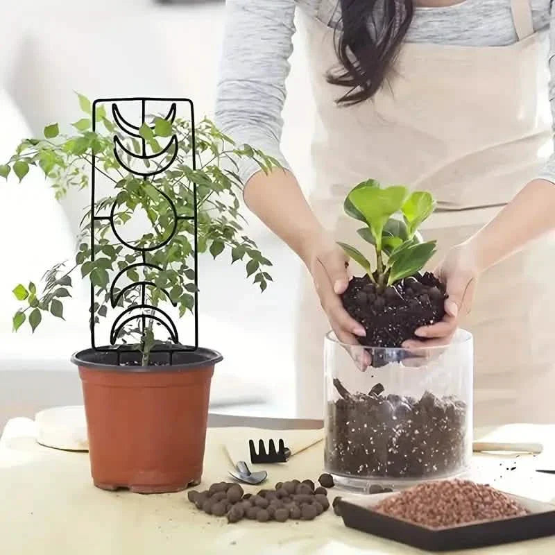 BowLift | 2-Pack: Metal Plant Frame for Climbing Plants Indoor