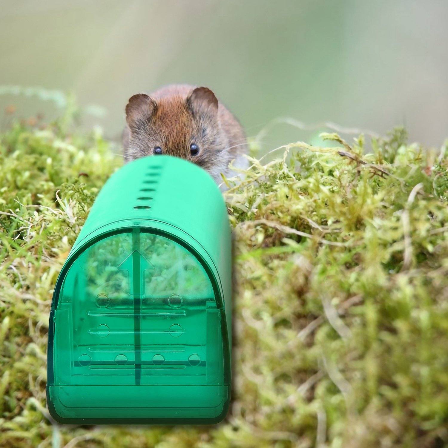 BowLift | 2-piece: Reusable Humane Mouse Trap