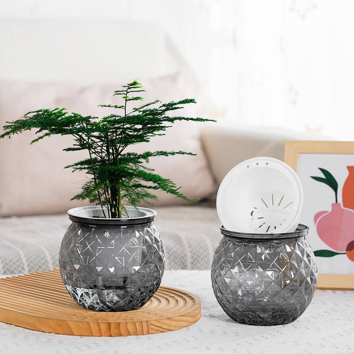 BowLift | Self-Watering Succulent Plant Pot with Fish Tank
