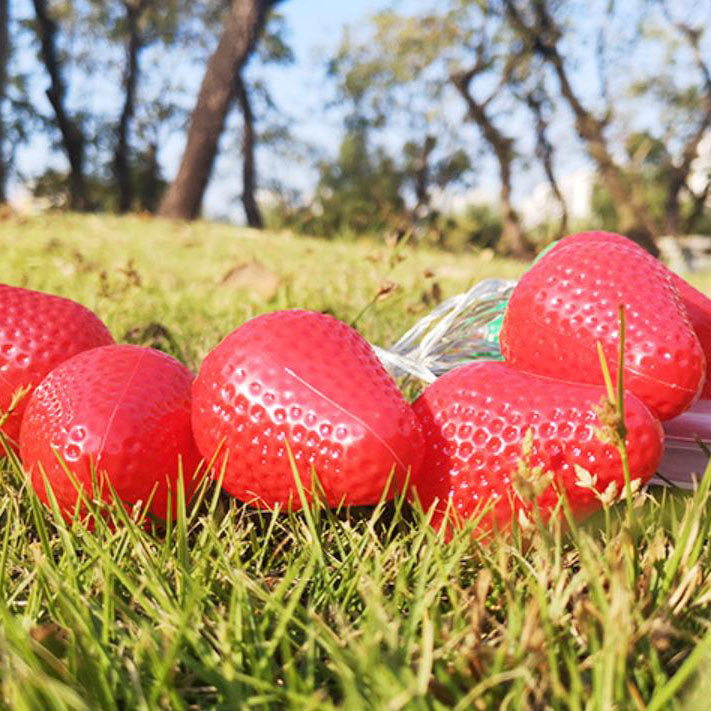 BowLift | Fruit Strawberry String Lights LED Battery Decorative Lights