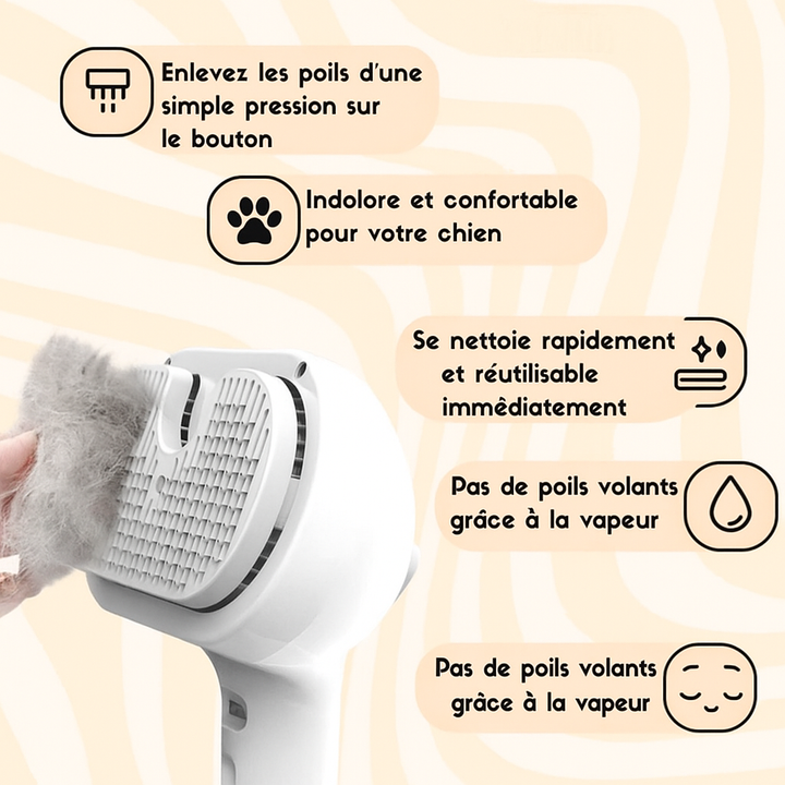 BowLift | PetGlow | Experience the radiant softness