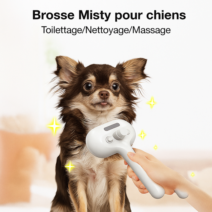 BowLift | PetGlow | Experience the radiant softness