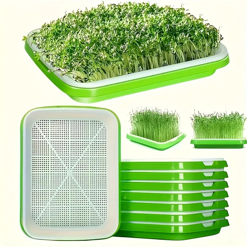 BowLift | Germination trays with lid – Double-layer seed sowing tray for effective seed germination