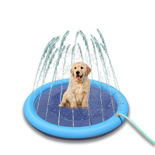 Dog swimming pool with sprinkler system Bowlift