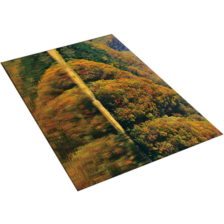 BowLift | Multi-Color Modern Rug Polyester Digital Graphic Living Room Rug Non-Slip Back Pet-Friendly Washable Rug for Guest Room