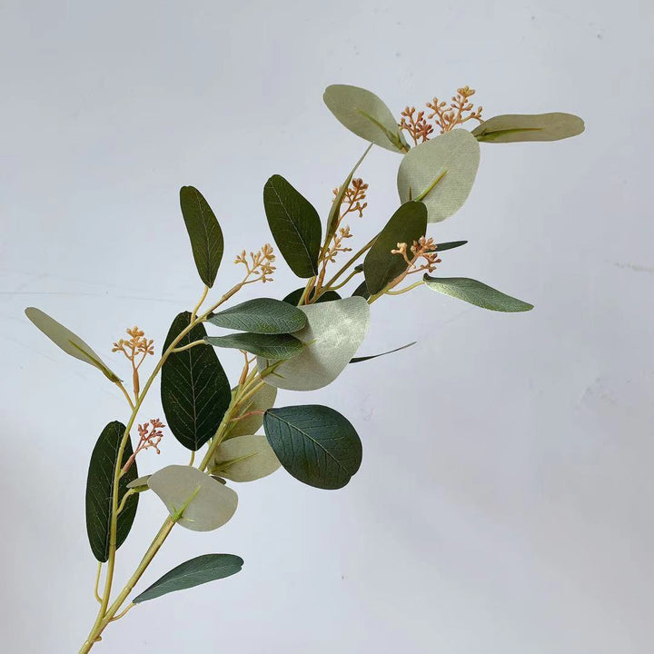Natural Eucalyptus Stem