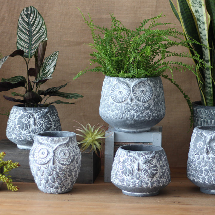 Decorative Owl Ceramic Pot Bowlift