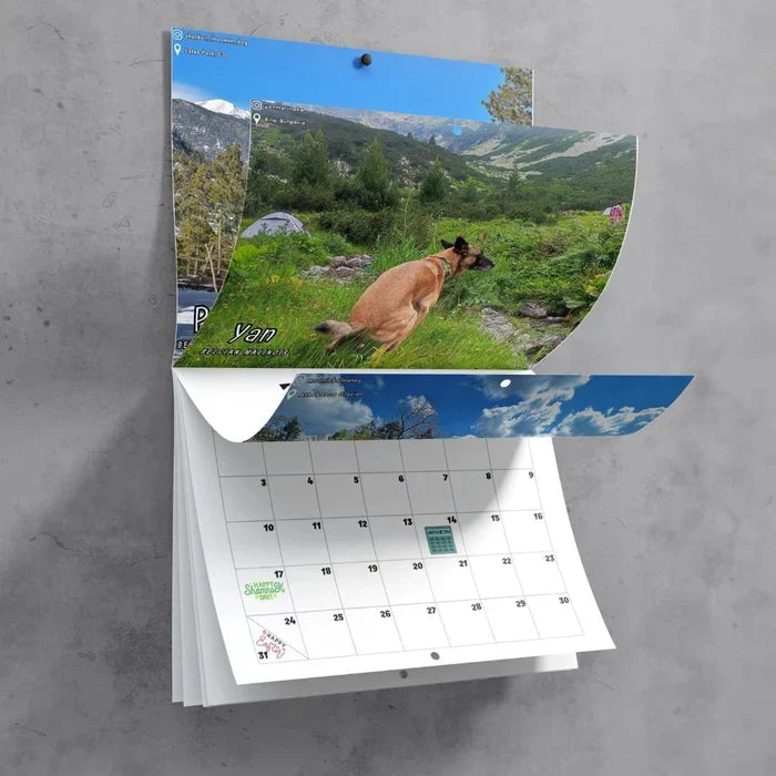 Funniest Calendar-Dogs Pooping in Beautiful Places | "Artistic Expression" of Furry Friends | Bowlift