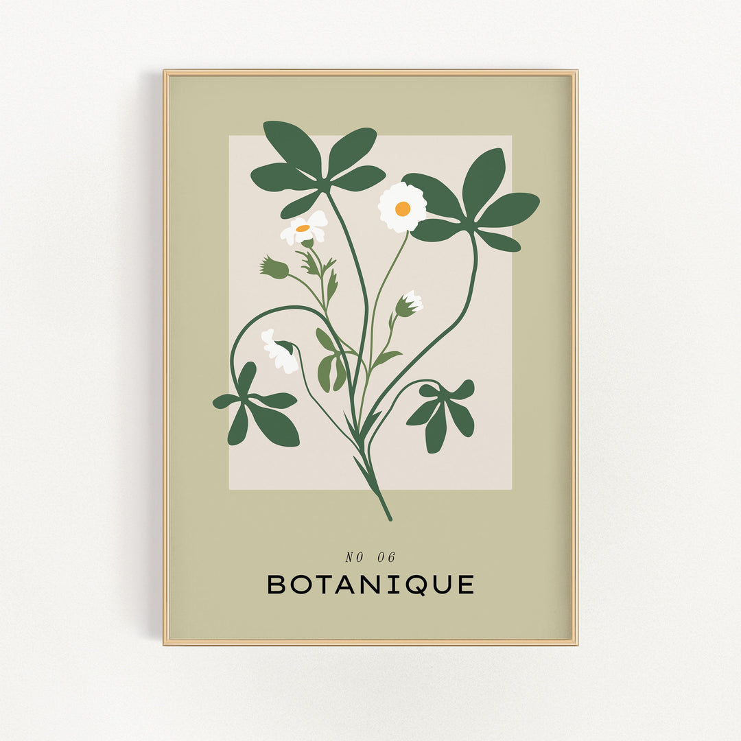 Botanique No. 6 | Bowlift