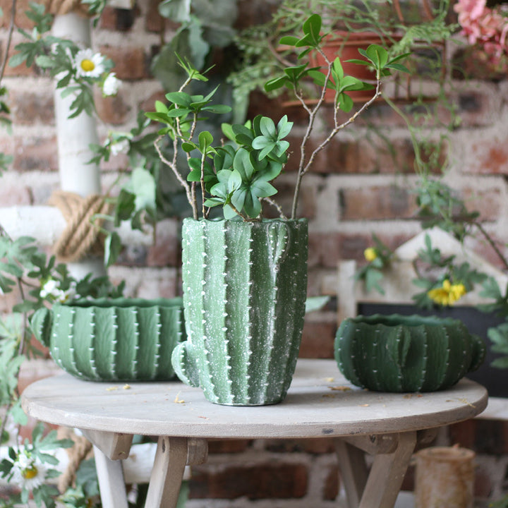 Decorative flower pot in cactus shape Bowlift