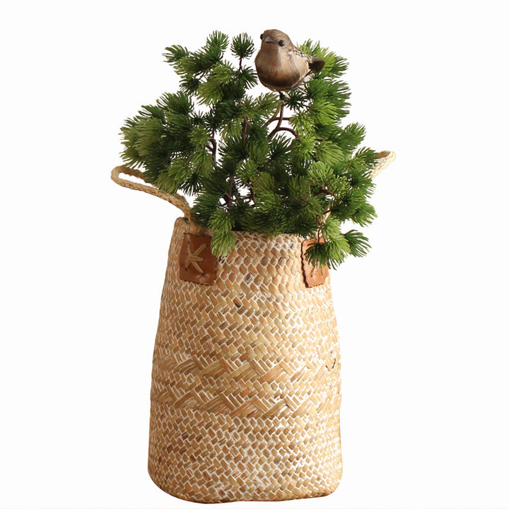 Handcrafted storage basket with natural design Bowlift