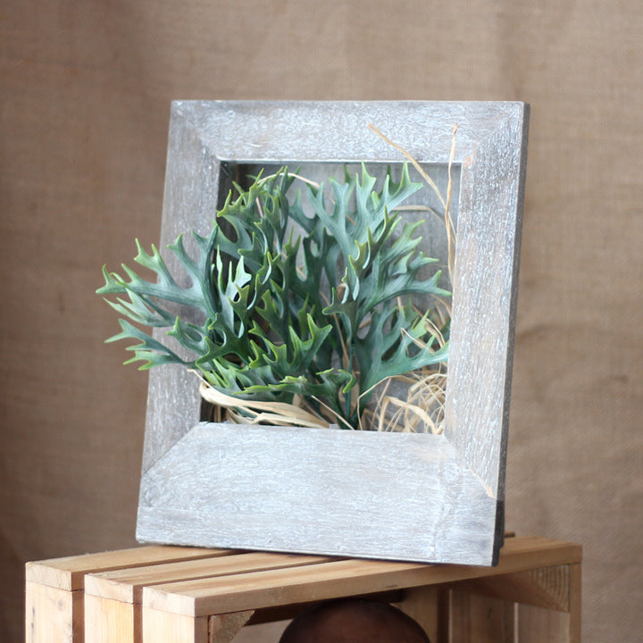 Stylish picture frame Bowlift