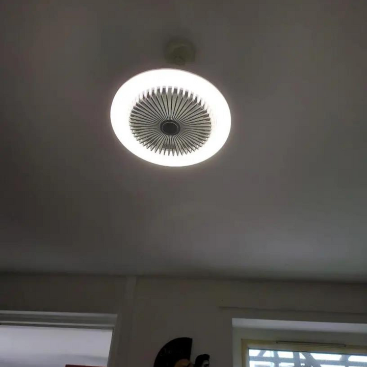Aromatherapy Bulb Fan | Bowlift